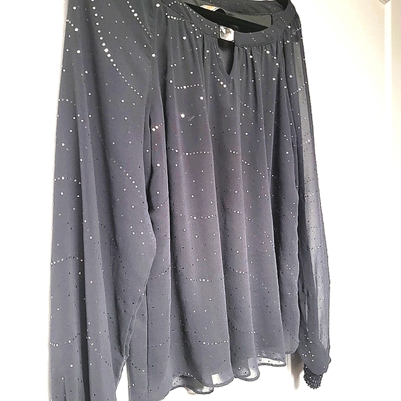 Billie & Blossom Gray Chiffon Lined Sparkle Blouse L/XL - Picture 3 of 9